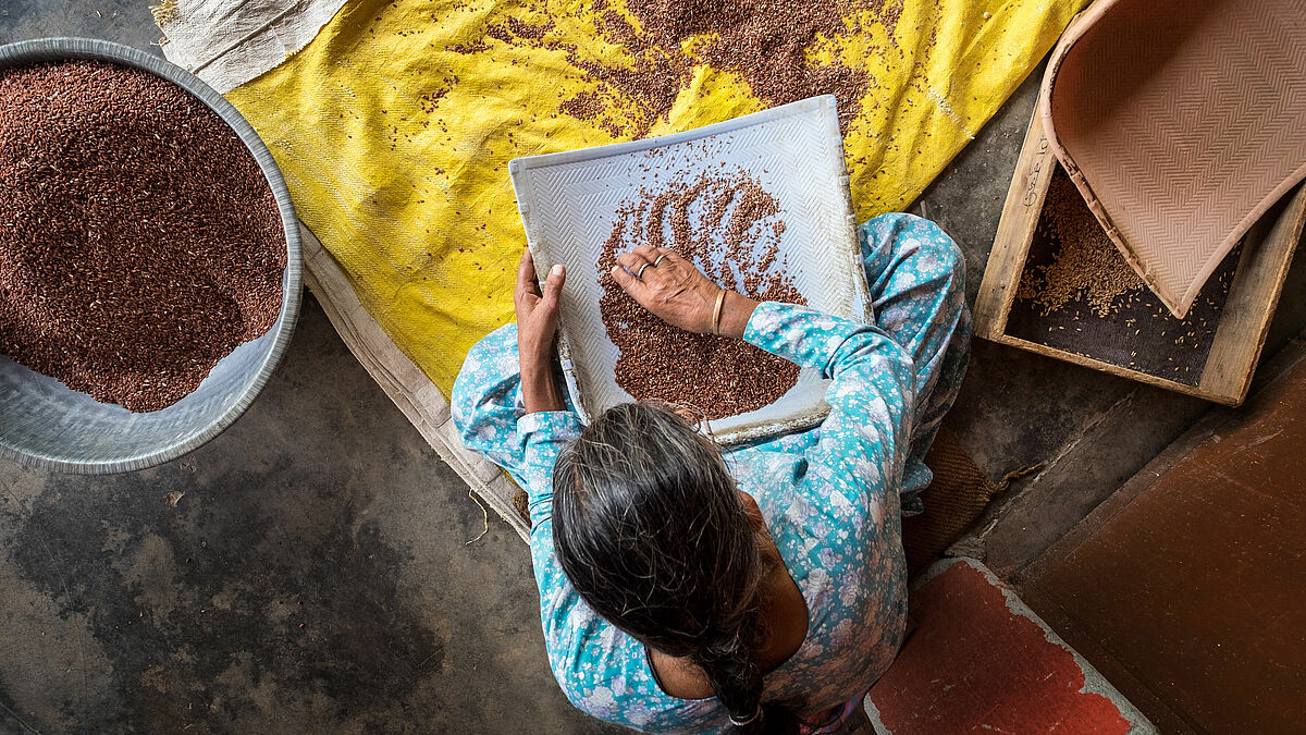 Mit den Spenden für "Brot für die Welt" werden zum Beispiel solche Projekte wie hier im Doon Tal bei Dehradun (Indien) unterstützt. Dort gibt es eine Saatgutbank, unter anderem für Reis und Weizen. 