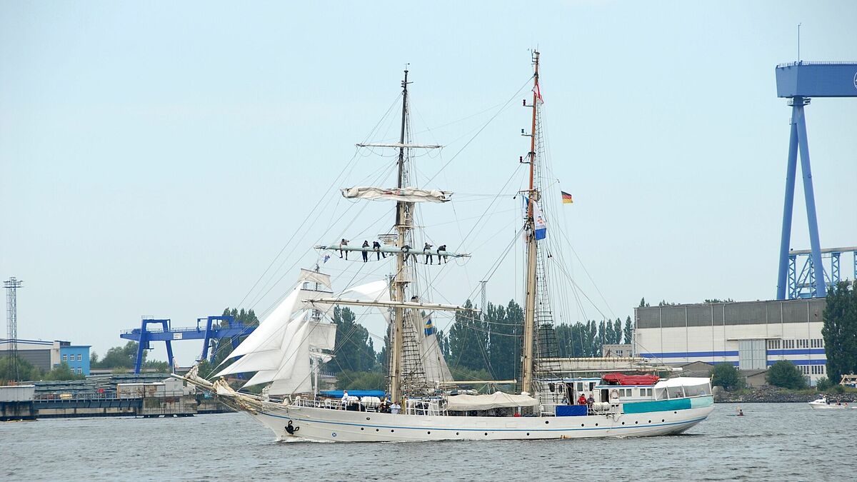 Das Segelschulschiff Greif