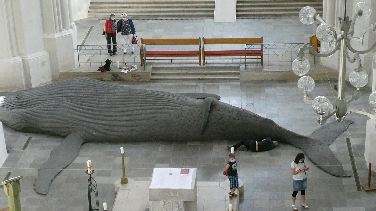 Der Wal im Greifswalder Dom von der Empore aus betrachtet- der Künstler legt letzte Hand an.