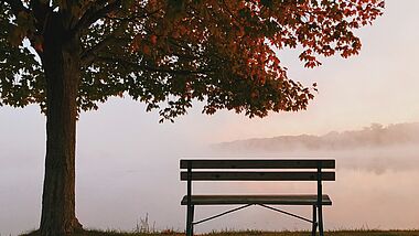 Eine leere Bank steht unter einem Herbstlaub tragenden Baum am See. Vom See steigt Nebel auf.