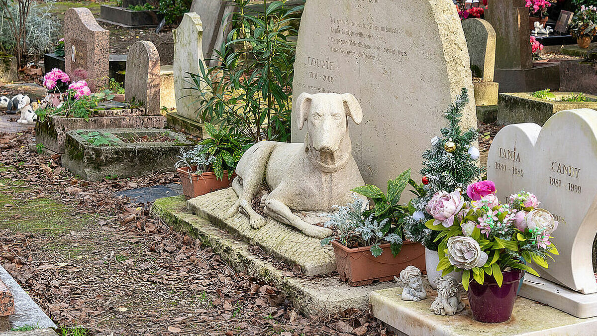 Der Haustierfriedhof von Paris in Asniéres-sur-Seine ist der wohl älteste Tierfriedhof der Welt. Bei uns gibt es sie eher selten. Eine Ausnahme bildet der Tierfriedhof im holsteinischen Niederkleveez (Kreis Plön). 