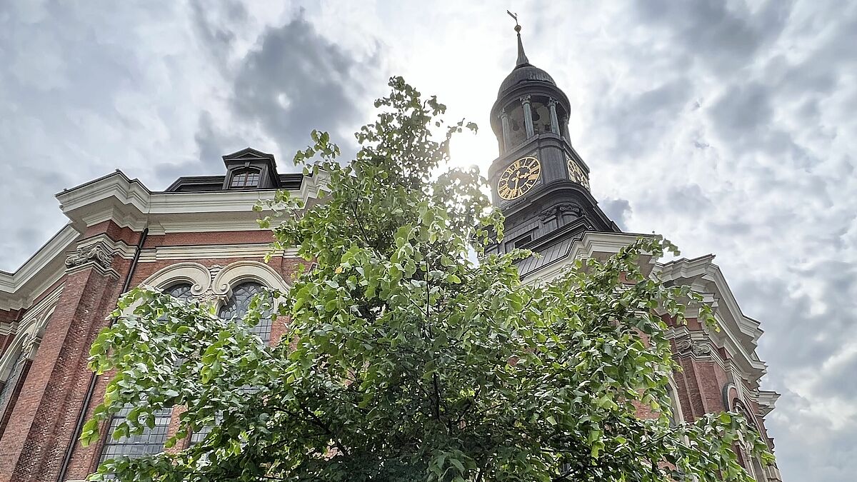 Sie wächst und gedeiht, die Nordkirchen-Linde am Hamburger Michel.