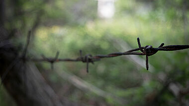 Stacheldraht vor grünen Blättern oder Wald 