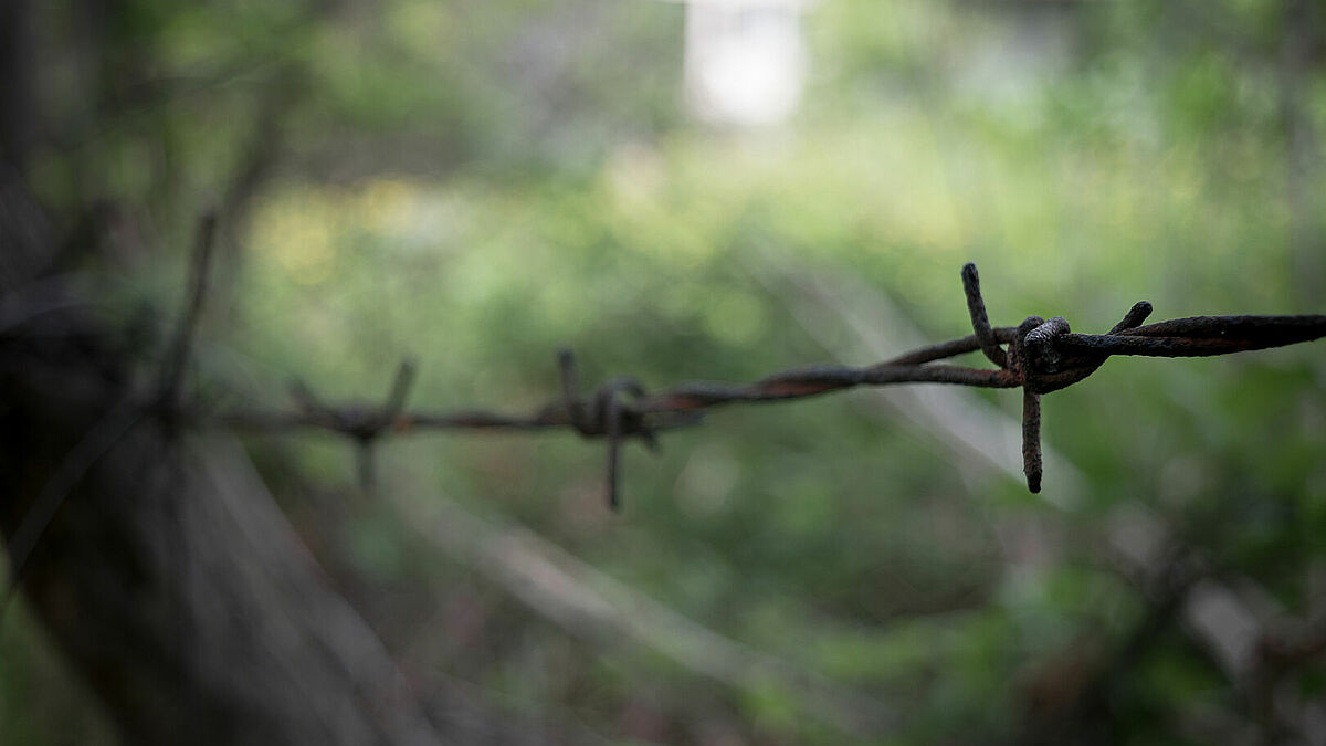 Wo heute Wald ist, wurden mehrere tausend Menschen von den Nazis ermordet. Eine Fotoschau erinnert an dieses Verbrechen.