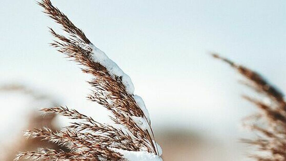 Frische Luft, Bewegung und die Eindrücke einer wunderbaren Natur: Mit der Aktion "Winterwege" gibt das Bibelzentrum Schleswig Impulse für die kleine Pilgerreise vor der eigenen Haustür. 