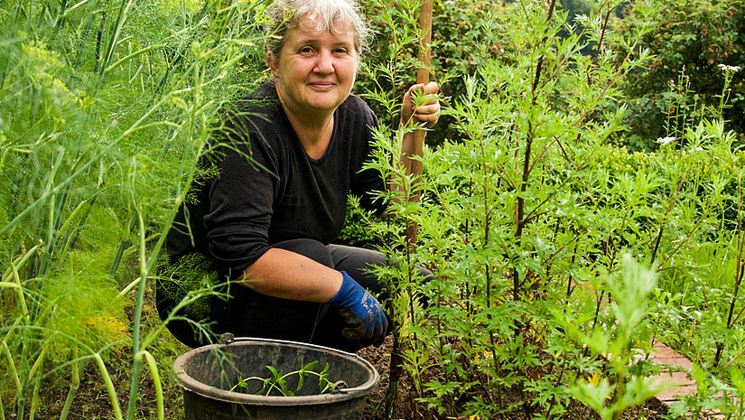 Gärtnerin Gaby Kloß hockt zwischen grünen Pflanzen und Kräutern in einem Beet im Klostergarten.