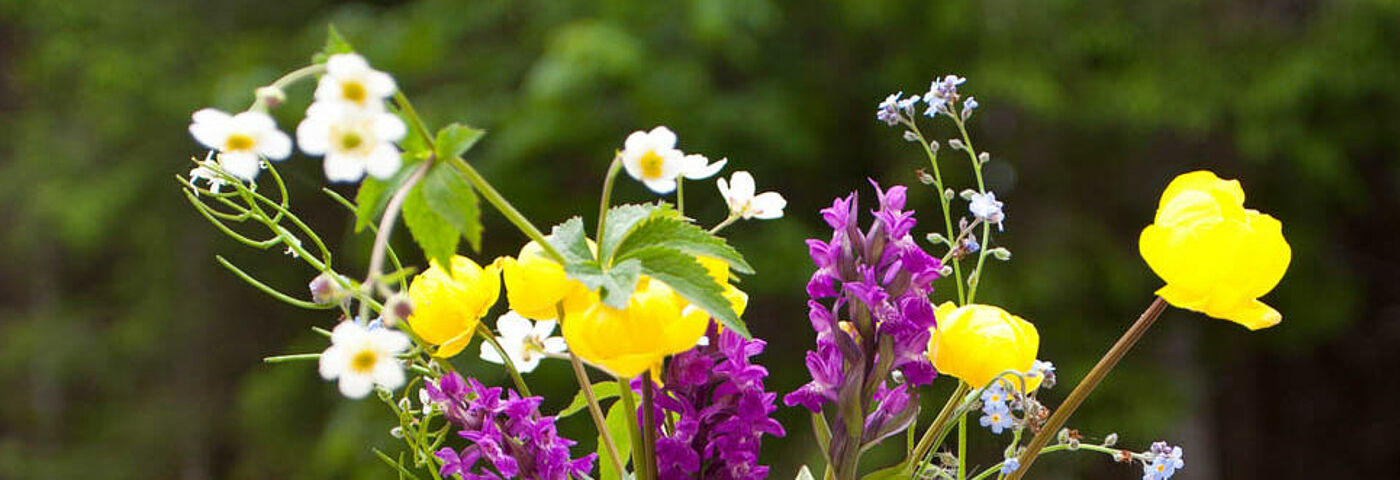 Wanderschuhe stehen auf einem Waldweg und sind geschmückt mit Blumen