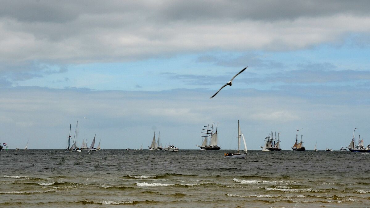 Die Kieler Woche bietet auf dem Wasser und Land Program. Während sich auf dem Wasser die Segler tummeln gibt es Land hunderte Angebote für die Besucher und Besucherinnen.