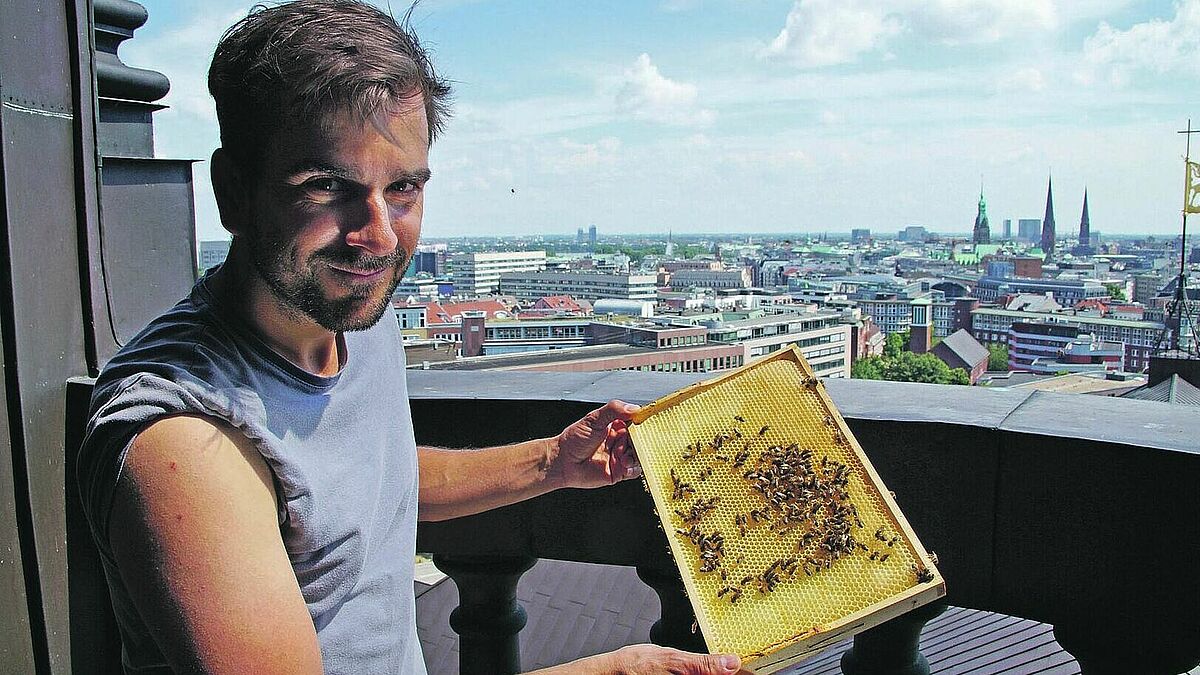 In 65 Metern Höhe auf dem Michel: Hobby-Imker David Hohmann und die fleißigen Bienen.